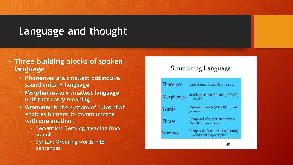 Language and thought • Three building blocks of spoken language • Phonemes are smallest