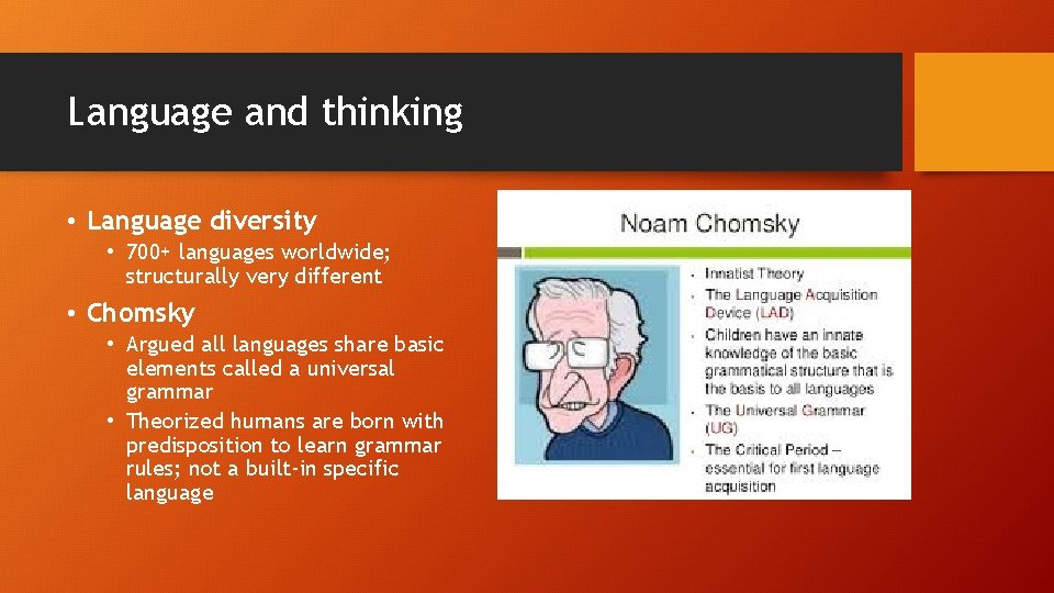 Language and thinking • Language diversity • 700+ languages worldwide; structurally very different •