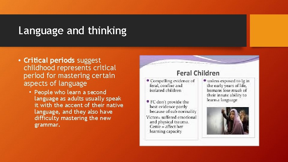Language and thinking • Critical periods suggest childhood represents critical period for mastering certain