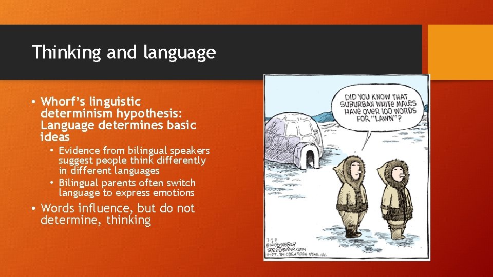 Thinking and language • Whorf’s linguistic determinism hypothesis: Language determines basic ideas • Evidence