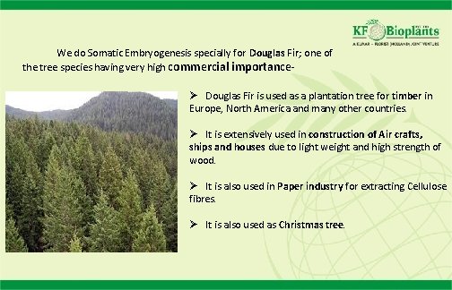  We do Somatic Embryogenesis specially for Douglas Fir; one of the tree species