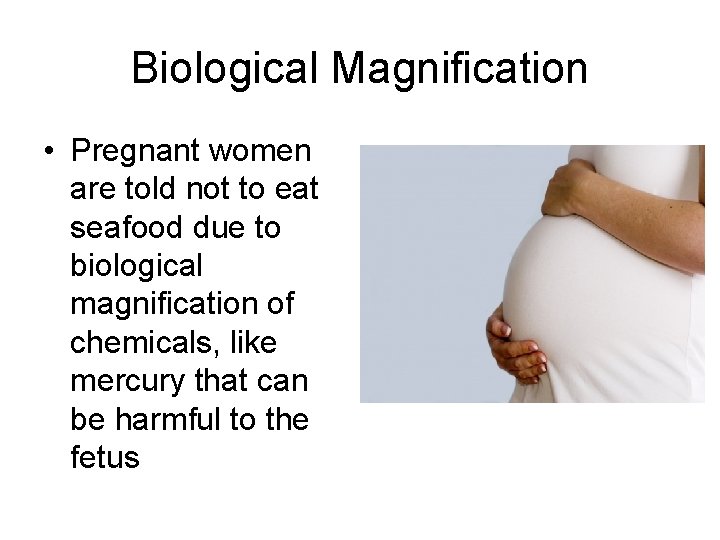 Biological Magnification • Pregnant women are told not to eat seafood due to biological