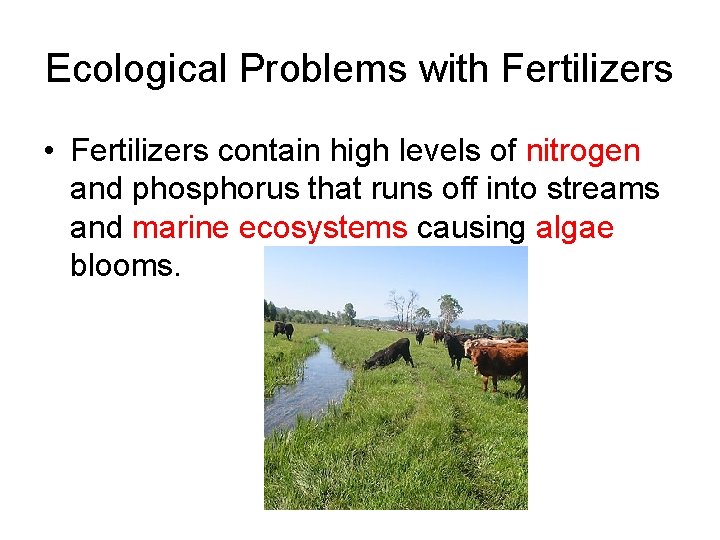 Ecological Problems with Fertilizers • Fertilizers contain high levels of nitrogen and phosphorus that Ecological Problems with Fertilizers • Fertilizers contain high levels of nitrogen and phosphorus that