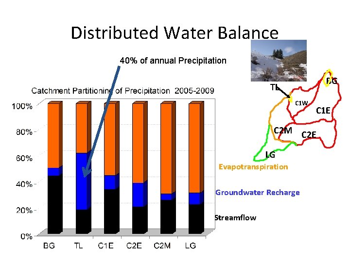Distributed Water Balance 40% of annual Precipitation BG TL C 1 W C 1
