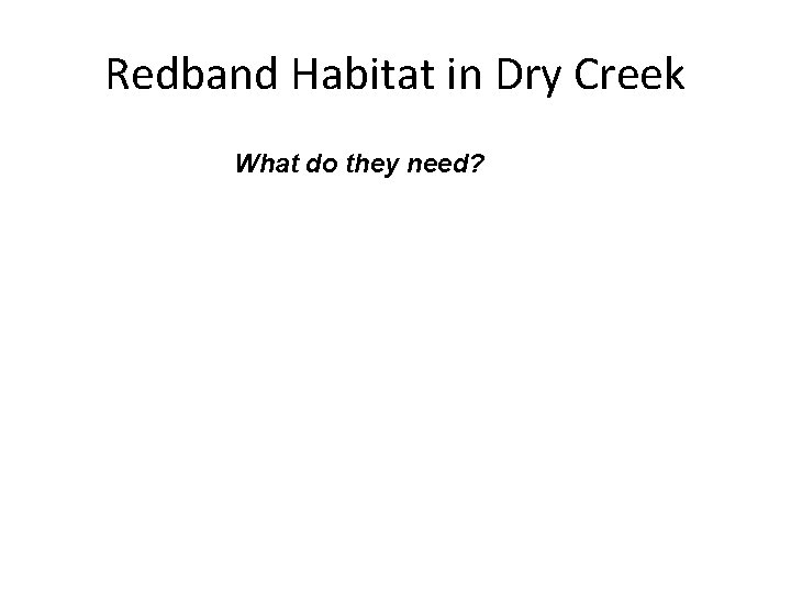 Redband Habitat in Dry Creek What do they need? 