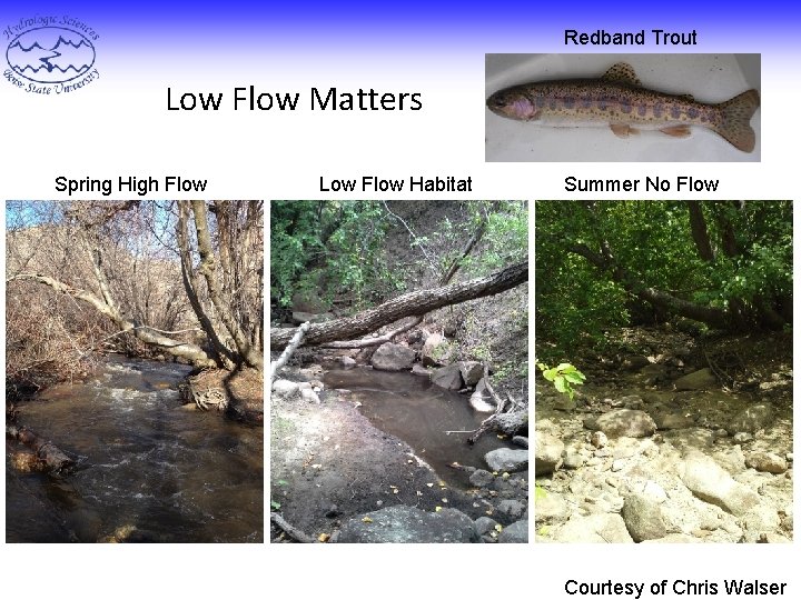 Redband Trout Low Flow Matters Spring High Flow Low Flow Habitat Summer No Flow
