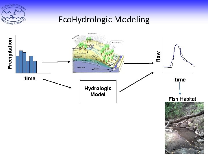 flow Precipitation Eco. Hydrologic Modeling time Hydrologic Model Fish Habitat 