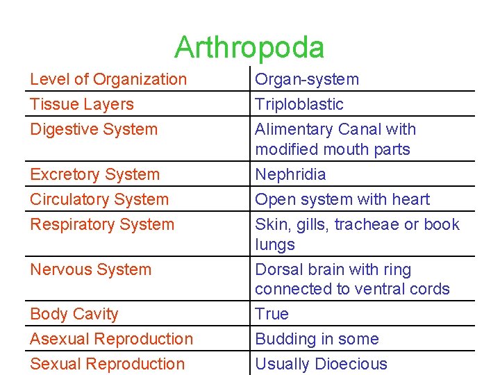 Arthropoda Level of Organization Tissue Layers Digestive System Excretory System Circulatory System Respiratory System