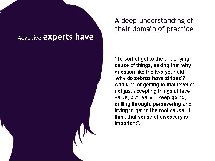 Adaptive experts have A deep understanding of their domain of practice “To sort of