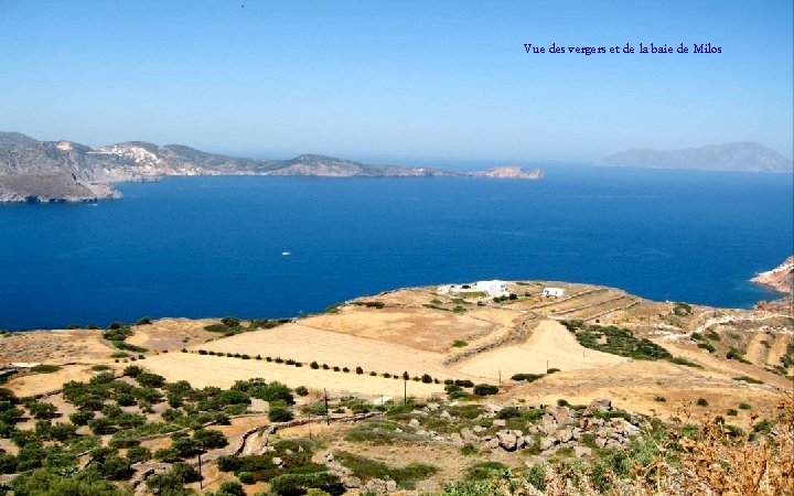 Vue des vergers et de la baie de Milos 