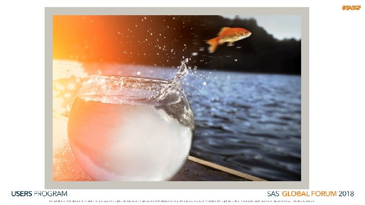 #SASGF SAS and all other SAS Institute Inc. product or service names are registered