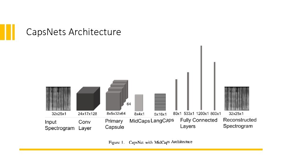 Caps. Nets Architecture 