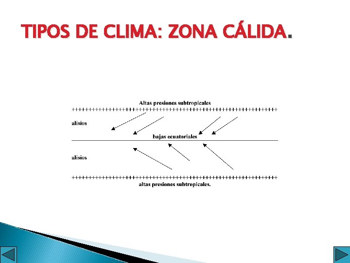 TIPOS DE CLIMA: ZONA CÁLIDA. 