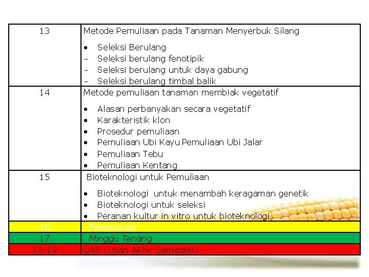 13 Metode Pemuliaan pada Tanaman Menyerbuk Silang 14 Seleksi Berulang - Seleksi berulang fenotipik