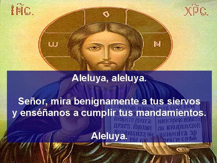 Aleluya, aleluya. Señor, mira benignamente a tus siervos y enséñanos a cumplir tus mandamientos.