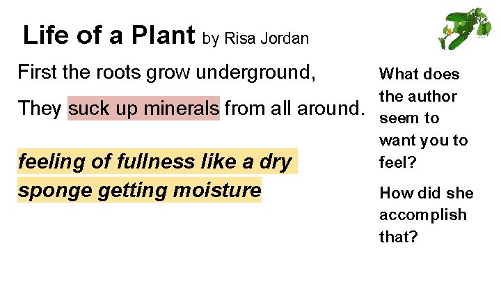 Life of a Plant by Risa Jordan First the roots grow underground, They suck