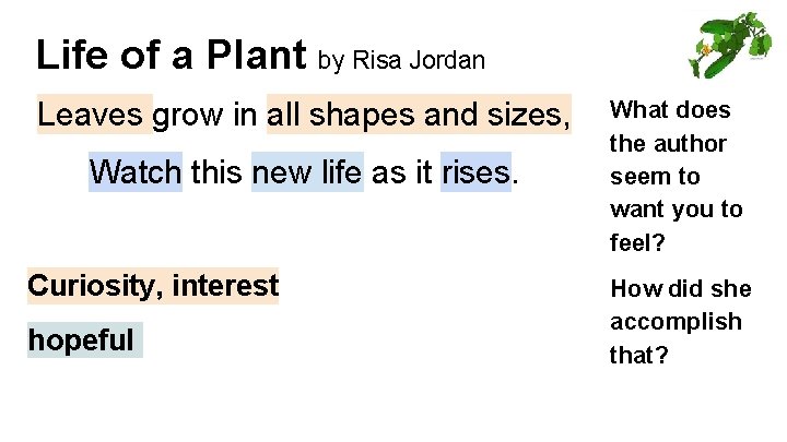 Life of a Plant by Risa Jordan Leaves grow in all shapes and sizes, Life of a Plant by Risa Jordan Leaves grow in all shapes and sizes,