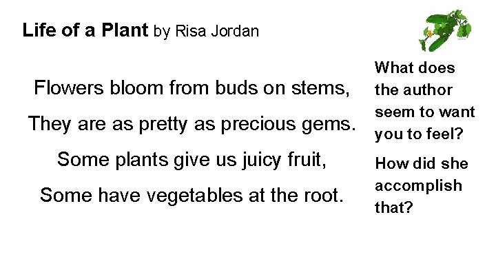 Life of a Plant by Risa Jordan Flowers bloom from buds on stems, They