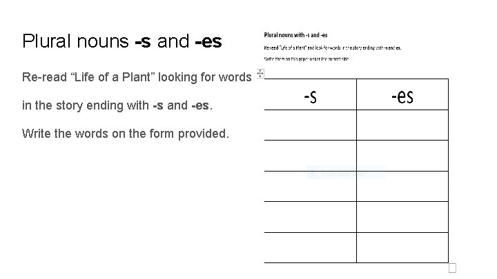 Plural nouns -s and -es Re-read “Life of a Plant” looking for words in