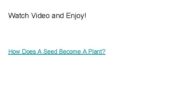 Watch Video and Enjoy! How Does A Seed Become A Plant? 