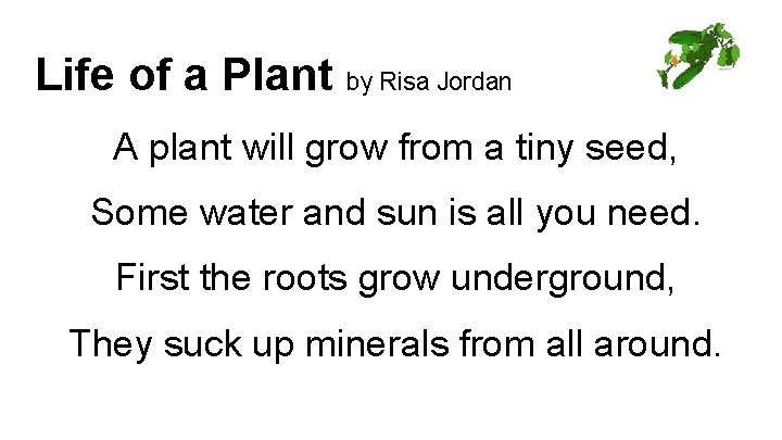 Life of a Plant by Risa Jordan A plant will grow from a tiny