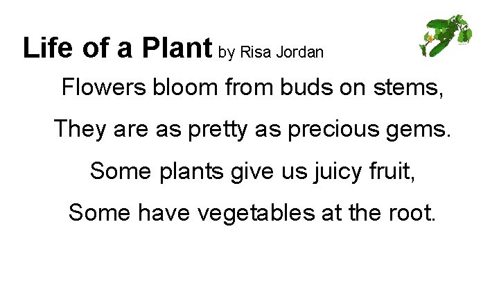 Life of a Plant by Risa Jordan Flowers bloom from buds on stems, They