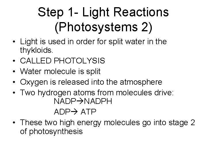 Step 1 - Light Reactions (Photosystems 2) • Light is used in order for