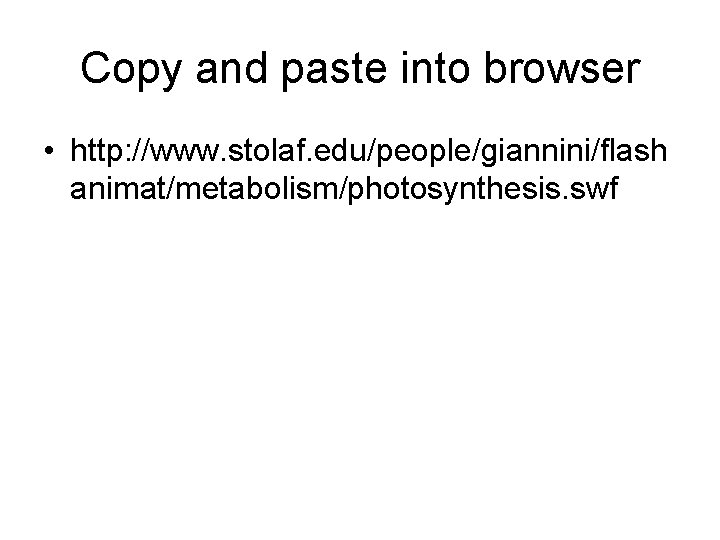 Copy and paste into browser • http: //www. stolaf. edu/people/giannini/flash animat/metabolism/photosynthesis. swf 
