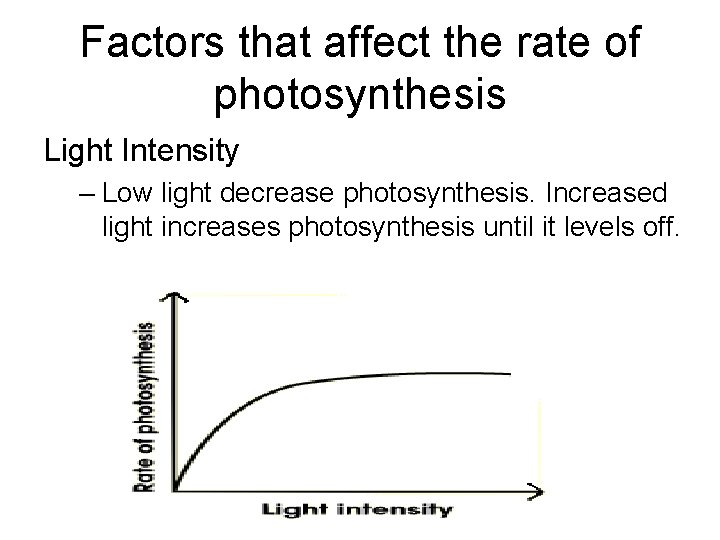 Factors that affect the rate of photosynthesis Light Intensity – Low light decrease photosynthesis.