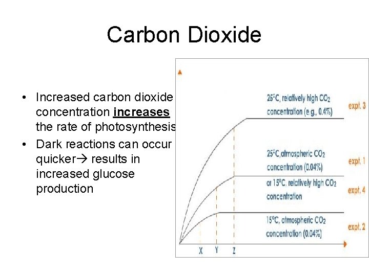 Carbon Dioxide • Increased carbon dioxide concentration increases the rate of photosynthesis. • Dark