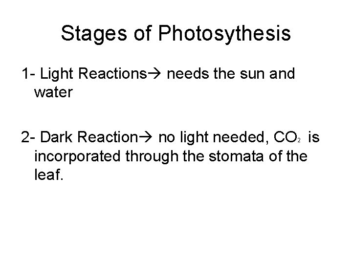 Stages of Photosythesis 1 - Light Reactions needs the sun and water 2 -