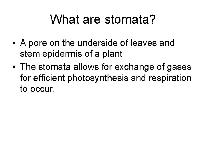 What are stomata? • A pore on the underside of leaves and stem epidermis