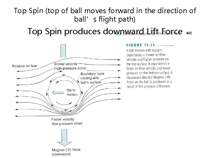 Top Spin (top of ball moves forward in the direction of ball’s flight path)