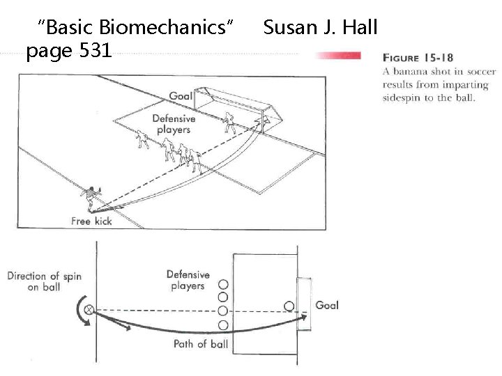 “Basic Biomechanics” Susan J. Hall page 531 