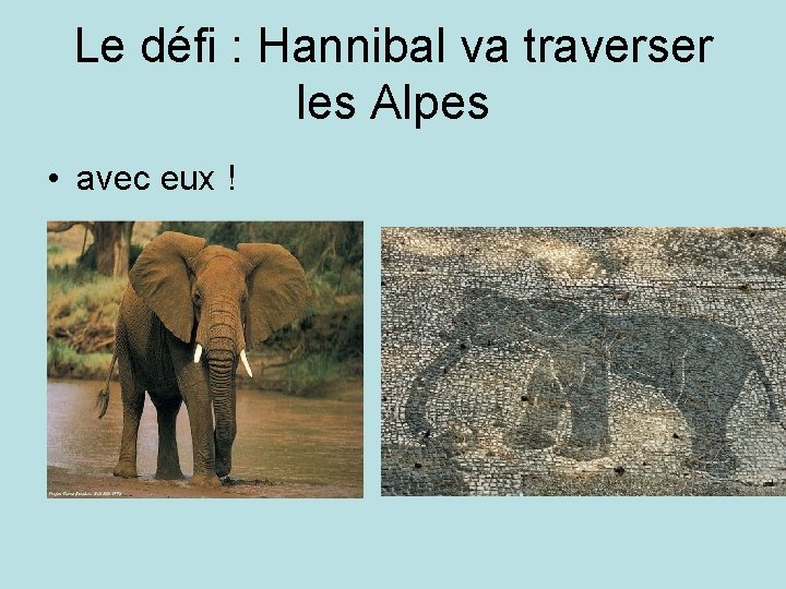 Le défi : Hannibal va traverser les Alpes • avec eux ! 