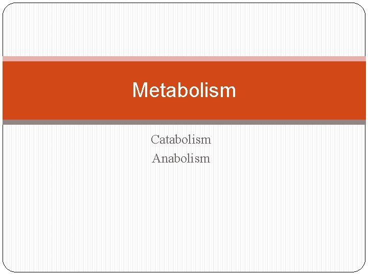 Metabolism Catabolism Anabolism 