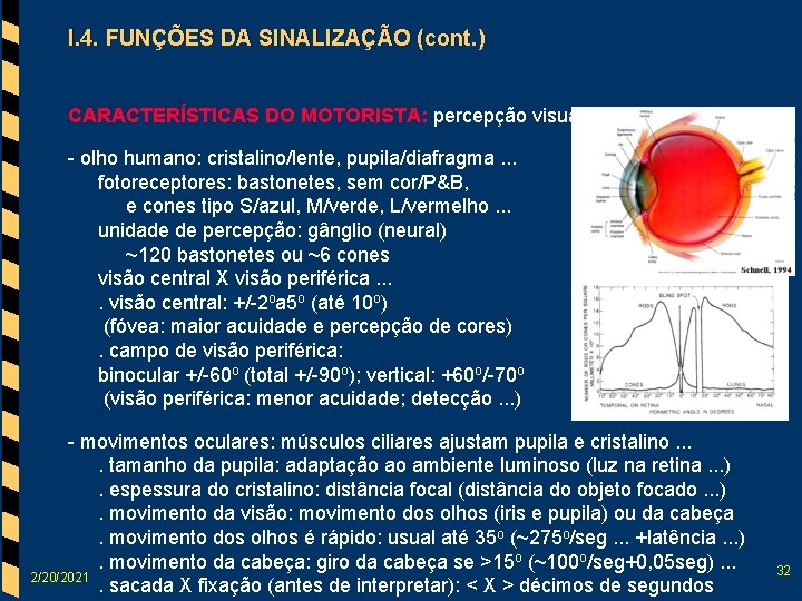 I. 4. FUNÇÕES DA SINALIZAÇÃO (cont. ) CARACTERÍSTICAS DO MOTORISTA: percepção visual - olho