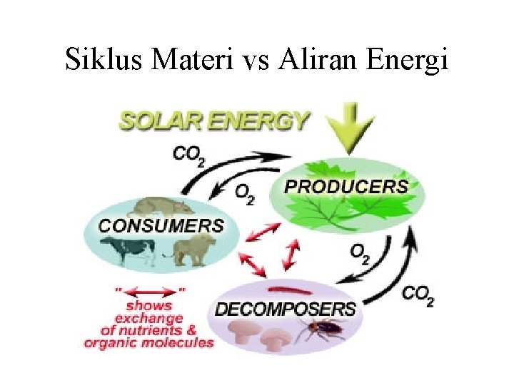 Siklus Materi vs Aliran Energi 