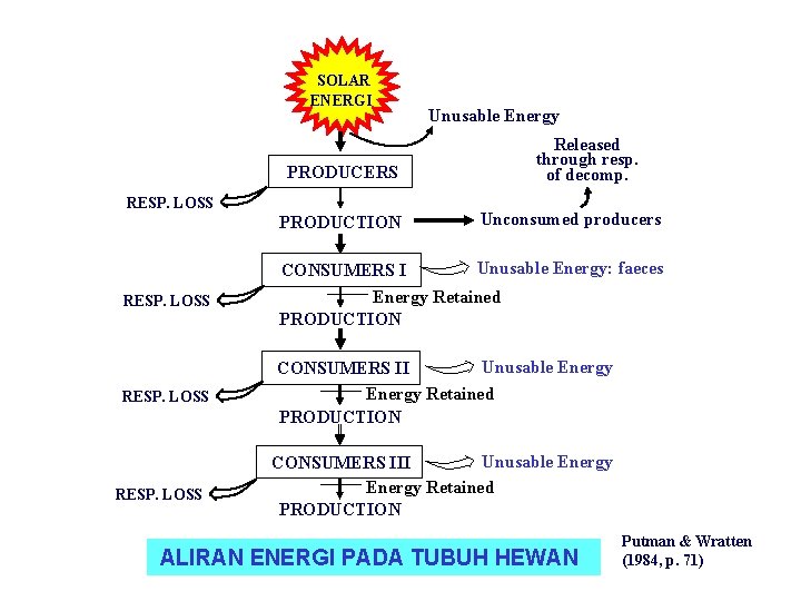 SOLAR ENERGI PRODUCERS RESP. LOSS PRODUCTION RESP. LOSS Unusable Energy Released through resp. of