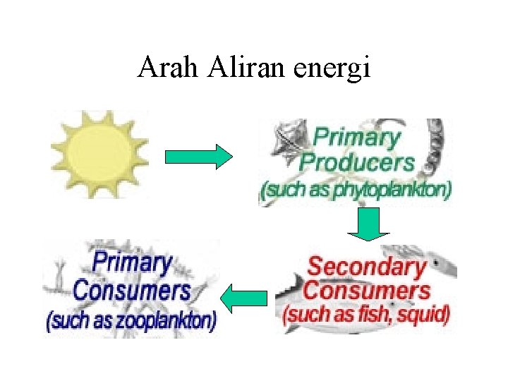 Arah Aliran energi 