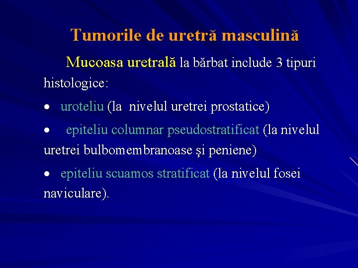  Tumorile de uretră masculină Mucoasa uretrală la bărbat include 3 tipuri histologice: ·