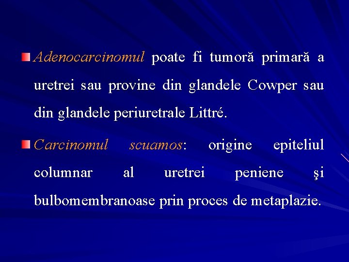 Adenocarcinomul poate fi tumoră primară a uretrei sau provine din glandele Cowper sau din