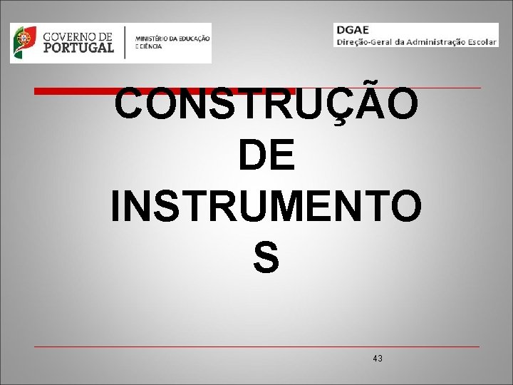 CONSTRUÇÃO DE INSTRUMENTO S 43 