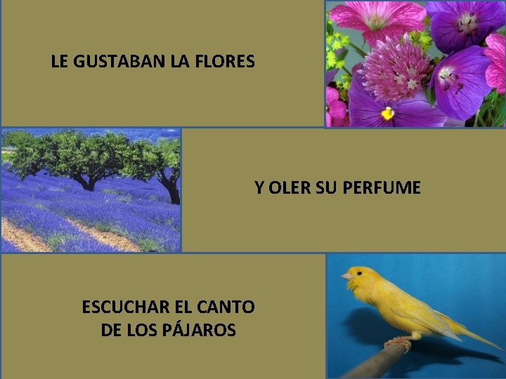 LE GUSTABAN LA FLORES Y OLER SU PERFUME ESCUCHAR EL CANTO DE LOS PÁJAROS