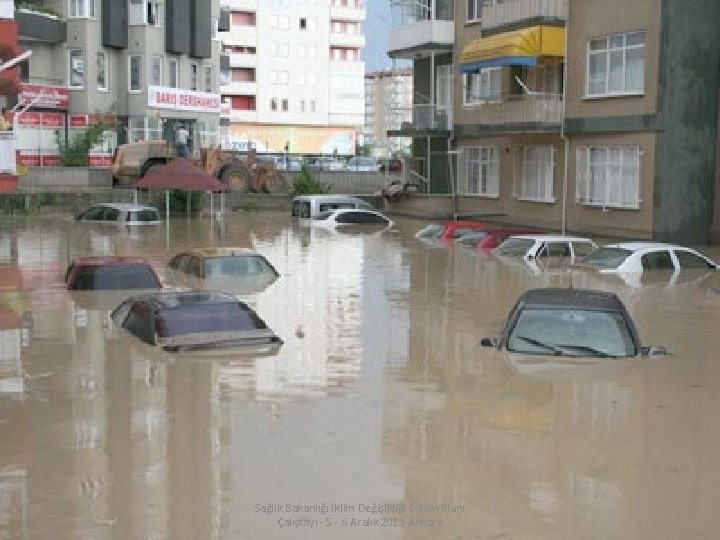 Sağlık Bakanlığı İklim Değişikliği Eylem Planı Çalıştayı - 5 - 6 Aralık 2013 Ankara