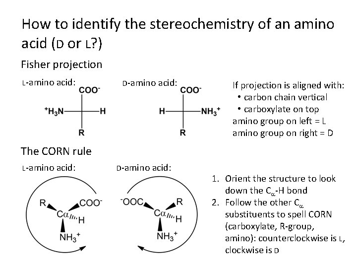 How to identify the stereochemistry of an amino acid (D or L? ) Fisher