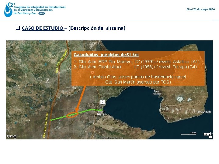 q CASO DE ESTUDIO – (Descripción del sistema) Gasoductos paralelos de 61 km 1