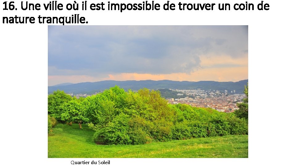 16. Une ville où il est impossible de trouver un coin de nature tranquille.