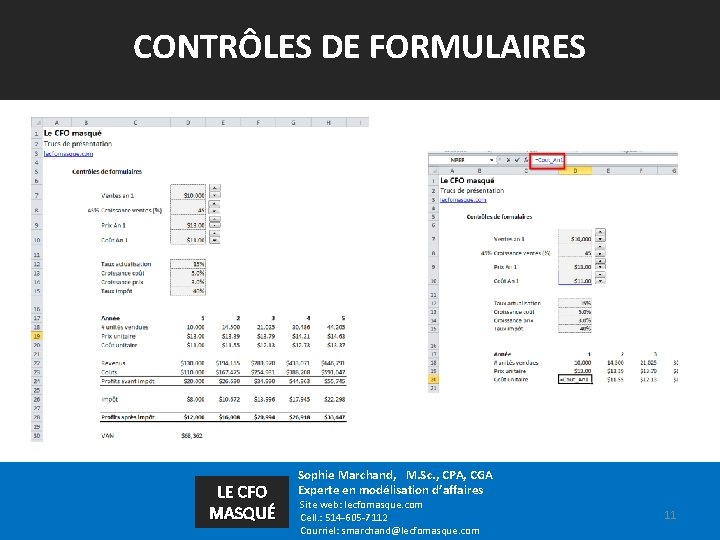 CONTRÔLES DE FORMULAIRES LE CFO MASQUÉ Sophie Marchand, M. Sc. , CPA, CGA Experte