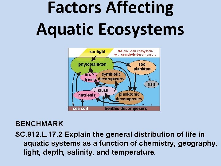 Factors Affecting Aquatic Ecosystems BENCHMARK SC. 912. L. 17. 2 Explain the general distribution